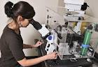 Write my biology course application essay